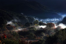 이번주 추천출사지 - 인제남면 갑둔리 산122_3 네비주소