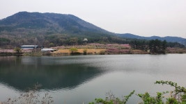 이번주 추천출사지 - 2020년 4월 추천촬영지