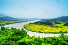 최근 출사지 소식 - 상주 경천대 들녁 풍경
