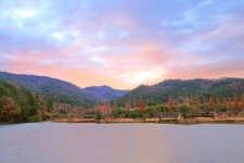 최근 출사지 소식 - 나주 오봉제