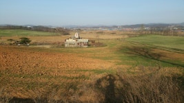 최근 출사지 소식 - 안성목장 정보_04_12일 오후현재