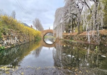 최근 출사지 소식 - 창녕 영산면 만년교 오늘 상황 입니다