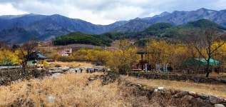최근 출사지 소식 - 산동면 산수유 마을