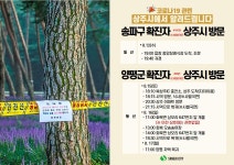 최근 출사지 소식 - 상주상오리 맥문동솔밭 상황
