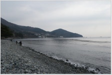 최근 출사지 소식 - 거제 학동 소식