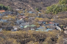 최근 출사지 소식 - 현천마을 전경 산수유 풍경은 이제 담을수가 없네요