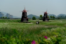 출사후기 - 인천 소래습지생태공원