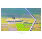 출사후기 - 평사리의 봄