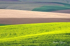 출사후기 - 춤추는 대지 팔루스 밀밭