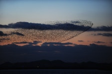 출사후기 - 영암호에서 문의 마을까지