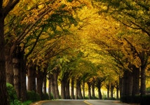 출사후기 - 곡교천에서 꽃지까지