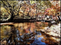 추억의 갤러리 - 선운사 도솔천