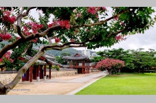 추억의 갤러리 - 왕릉의 산책길에서 -----