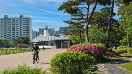 추억의 갤러리 - 대성동 고분 박물관이 보이는 풍경 ---