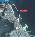 월간바다낚시 & 씨루어 > 현장화보 > 강원도 속초 장사항에 전어떼가 나타났다!