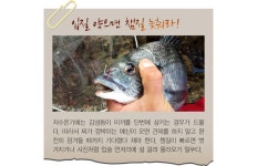 월간바다낚시 & 씨루어 > 현장화보 > 거제도 ‘넘버원’ 겨울감성돔 승부처 여차 거제도 ‘넘버원’ 겨울감성돔 승부처 여차