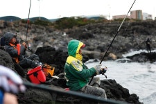 월간바다낚시 & 씨루어 > 현장화보 > 제주 영락리 겨울 고등어 잔치