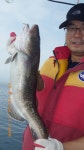 바다낚시 > 점주선장조황 > 성복호 대구조황  6/24 성복호 대구조황 624