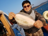 바다낚시 > 출조안내 > 왕 도다리 출조 (예약가능)