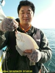 바다낚시 > 점주선장조황 > 4/29 도다리 잡고,먹고,들고가고... 429 도다리 잡고먹고들고가고