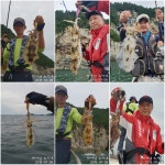 바다낚시 > 점주선장조황 > 【노아호】무늬 오전(9/8)  조황/.일 오전 예약가능