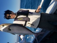 바다루어 > 점주선장조황 > 제주백마린호(100마린호)부시리 방어지깅 1월21일