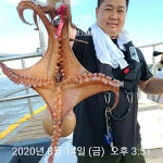 바다낚시 > 점주선장조황 > (삼천포 와따피싱) 문어 너 왜 떠니?