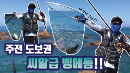 바다낚시 > 낚시인 조황·조행기 > 울산 동구 주전 노랑바위