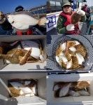 바다낚시 > 점주선장조황 > 4/19오전도다리참가자미 조황 시원한 동해바다로 힐링하러 고고~~ 419오전도다리참가자미 조황 시원한 동해바다로... 