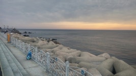 바다낚시 > 점주선장조황 > 동해바다낚시 감성돔조황과 바다날씨입니다. 동해바다낚시 감성돔조황과 바다날씨입니다