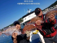 바다낚시 > 점주선장조황 > ❗해마호금일 참돔씨알굿....^^
