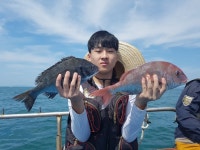 바다낚시 > 점주선장조황 > 약산면 득암항 바다호,3대 돔,돔,빈손도ㅡ