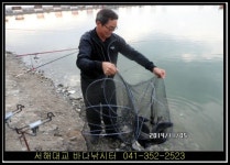 바다낚시 > 점주선장조황 > 11월 5일 조황 정보. ☞서해대교 바다낚시터☜ 11월 5일 조황 정보 ☞서해대교 바다낚시터☜