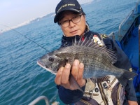 바다낚시 > 점주선장조황 > 감성돔 벵에돔 입맛대로 감성돔 벵에돔 입맛대로