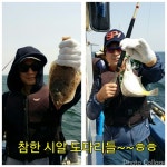 바다낚시 > 점주선장조황 > 4/30현재.똥바람도 쓰리피,투피에는 굴복~주중주말예약중 430현재똥바람도 쓰리피투피에는 굴복주중주말예약중