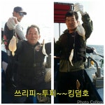 바다낚시 > 점주선장조황 > 4/30현재.똥바람도 쓰리피,투피에는 굴복~주중주말예약중 430현재똥바람도 쓰리피투피에는 굴복주중주말예약중