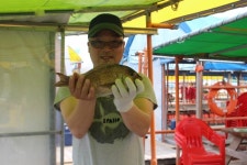 바다낚시 > 점주선장조황 > [남용호]  5월 3일 수요일 좌대조황 소식 남용호 5월 3일 수요일 좌대조황 소식