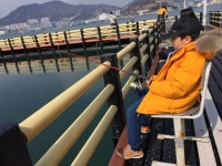바다낚시 > 점주선장조황 > 여수가족낚시터 체험낚시 시작 여수가족낚시터 체험낚시 시작