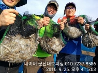 바다낚시 > 점주선장조황 > 9/26군산대호피싱 쭈꾸미 조황 망탱이 굿굿굿! (/^o^)/♡ 926군산대호피싱 쭈꾸미 조황 망탱이 굿굿굿 o♡