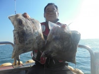 바다낚시 > 점주선장조황 > 11월4일 길성선단 오랜만에 대박!!조황이네요