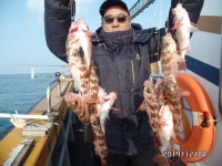 바다낚시 > 점주선장조황 > 완도 우럭.열기 조황 입니다 ~