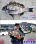 바다낚시 > 점주선장조황 > 거제낚시천국 48.5 감성돔~