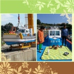 바다낚시 > 점주선장조황 > 초양낚시 물새호 초양낚시 물새호