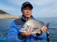 바다낚시 > 점주선장조황 > ***(일) 소안도.당사도조황입니다*** 일 소안도당사도조황입니다