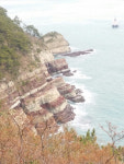 바다낚시 > 점주선장조황 > 송도암남공원학꽁치대박(2층입구낚시) 송도암남공원학꽁치대박2층입구낚시
