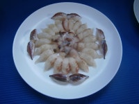 바다낚시 > 점주선장조황 > 한글날 부터 ~오늘까지 조황정보입니다.~^^[내만좌대] 한글날 부터 오늘까지 조황정보입니다내만좌대