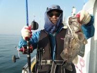 바다낚시 > 점주선장조황 > 오천항구낚시 조황입니다!