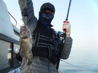 바다낚시 > 점주선장조황 > 오천항구낚시 조황입니다!