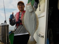 바다낚시 > 점주선장조황 > (경영호배낚시)대광어조황 경영호배낚시대광어조황