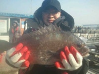 바다낚시 > 점주선장조황 > 송정낚시터 겨울철 손맛 보기 조황 소식입니다 송정낚시터 겨울철 손맛 보기 조황 소식입니다